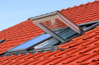 Newbiggin roof window